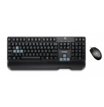 Keyboard + Mouse G100S Combo